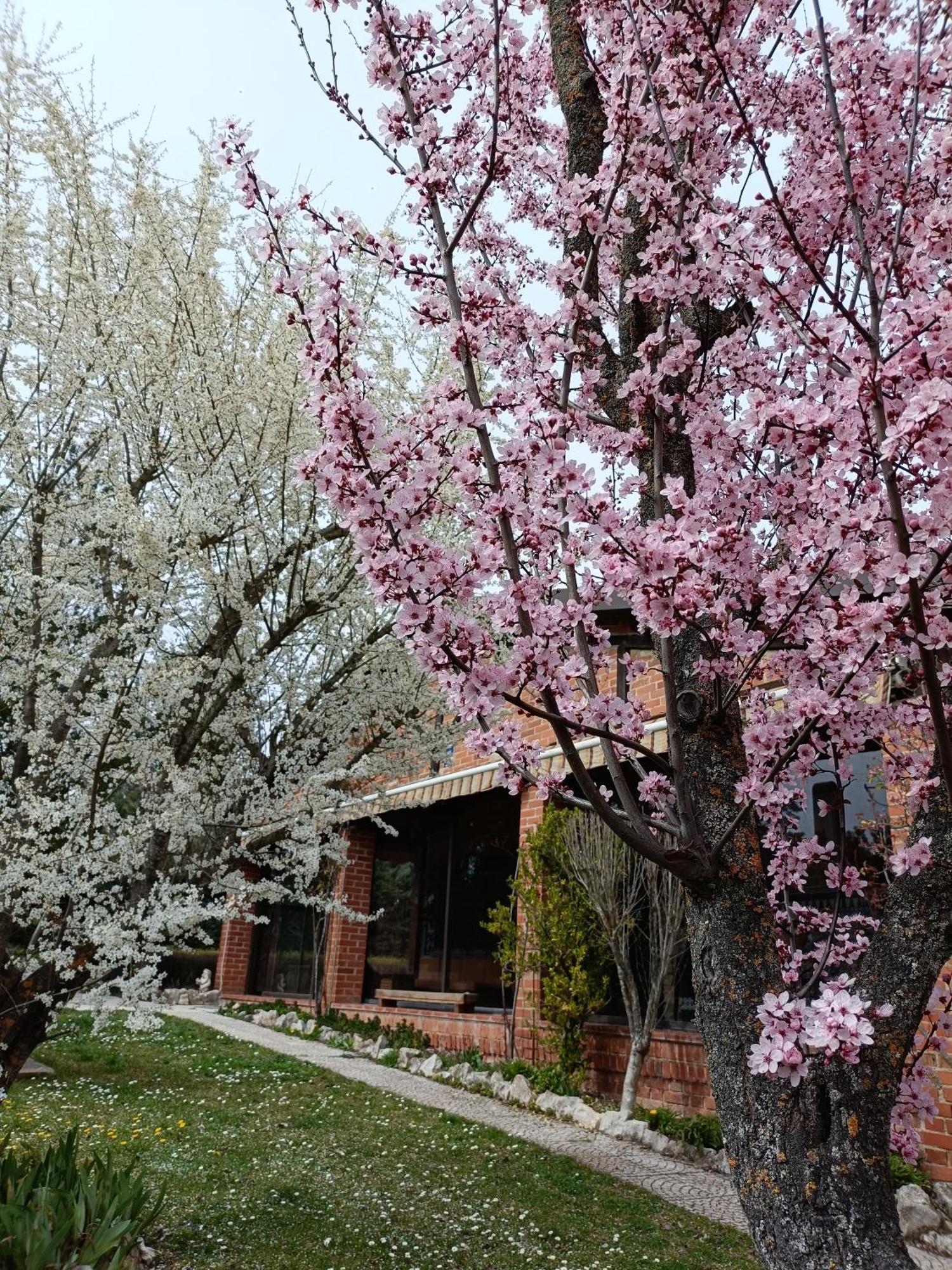 אל בורגו דל אוסמה Finca Paraiso Rural חדר תמונה